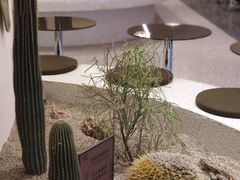 -OUR Bakery(SKP-S店)