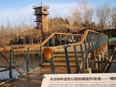 -东郊湿地公园