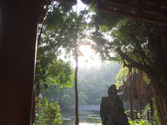 -深圳国际园林花卉博览园