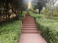 -鹦鹉寺公园