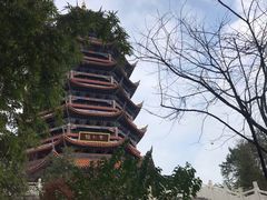 -铁山坪森林公园