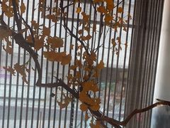 -京华烟云·北京烤鸭(领展购物广场·中关村店)