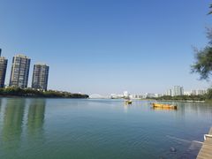 -五缘湾湿地公园