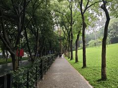 -广州市白云山风景名胜区