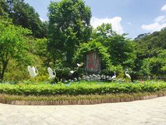 -广州白江湖森林公园