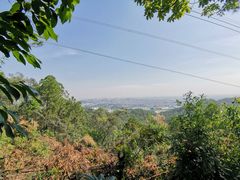 -滴水岩森林公园