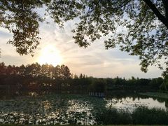 -艾溪湖湿地公园