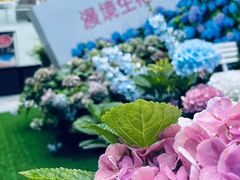 -HALO广场(梨园路店)