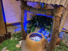 -井水小厨·湘菜(活力广场店)