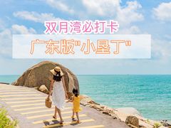 -广东惠东海龟国家级自然保护区