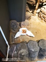 -未来动物城动物主题公园(大悦城店)