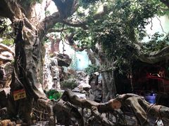 -多彩贵州城极地海洋世界