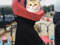 -赛卡联盟WSK卡丁车俱乐部
