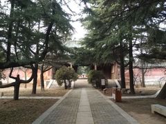 -明鲁王陵