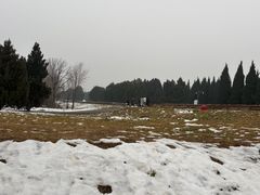 -秦始皇帝陵博物院-丽山园