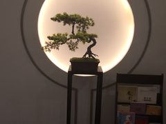 -席仁堂推拿按摩脊柱调理(世纪科贸大厦店)