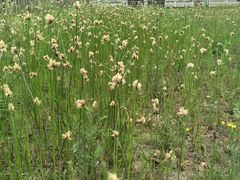 在四季中春是最美的。他是开始-月河湾马术俱乐部(朝阳店)