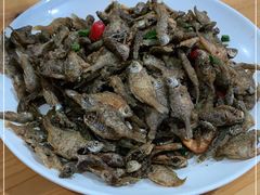-黄牛肉馆·皖南土菜