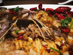 -春熙小馆(乘风庄店)