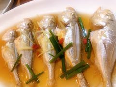 -浙C老邻舍(西城海错店)