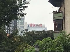 -重庆医科大学附属第一医院(本部)