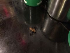 -张记牛肉面馆(天津路店)