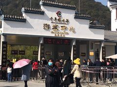 -千年银杏谷文化旅游区