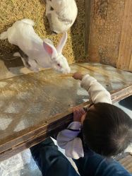 -酷嗒动物文化乐园(cutezoo西溪乐天城店)