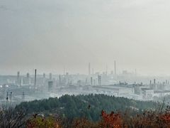 -白水寺森林公园