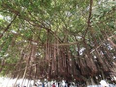 -胡里山炮台