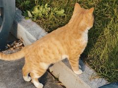 -狼山风景名胜区