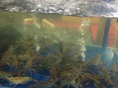 -绿雅居原生态农庄(小涌店)