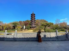 -牛首山文化旅游区