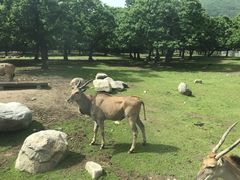 -西安秦岭野生动物园