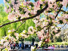 -元大都城垣遗址公园