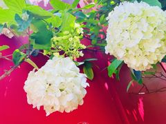 -大龙山(地铁站)