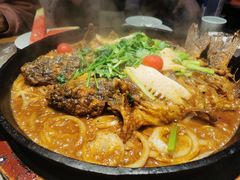 -老板恋上鱼(恒隆广场店)