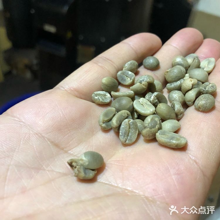 比较好的度假村都不在这个区域