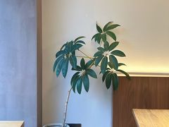 -溯洄咖啡VORTEX COFFEE