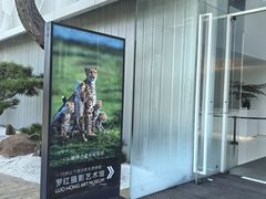 -罗红摄影艺术馆