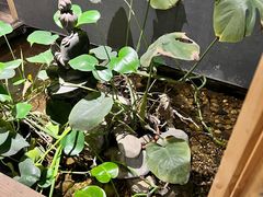 -邈墨茶馆(江南星座1店)