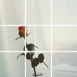 -凡碧诗毛孔收细