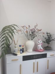 -WENDY·温迪皮肤管理