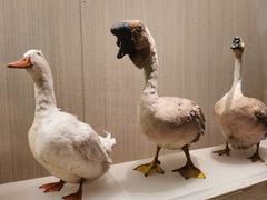-中国农业博物馆