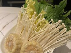 -汤城·料青山