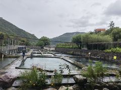 -天源渔港农庄