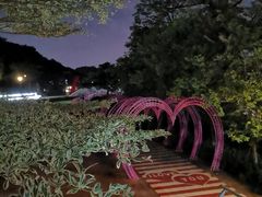 -佛山华盖山公园