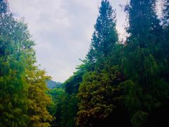 -云溪植物园