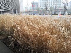 -张之洞与武汉博物馆
