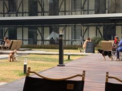 -一尺花园(安和花园店)